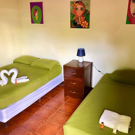 Casa Lula Leon Hostal エクステリア 写真