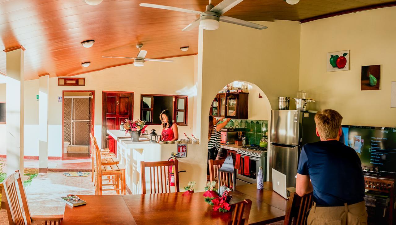 Casa Lula Leon Hostal エクステリア 写真